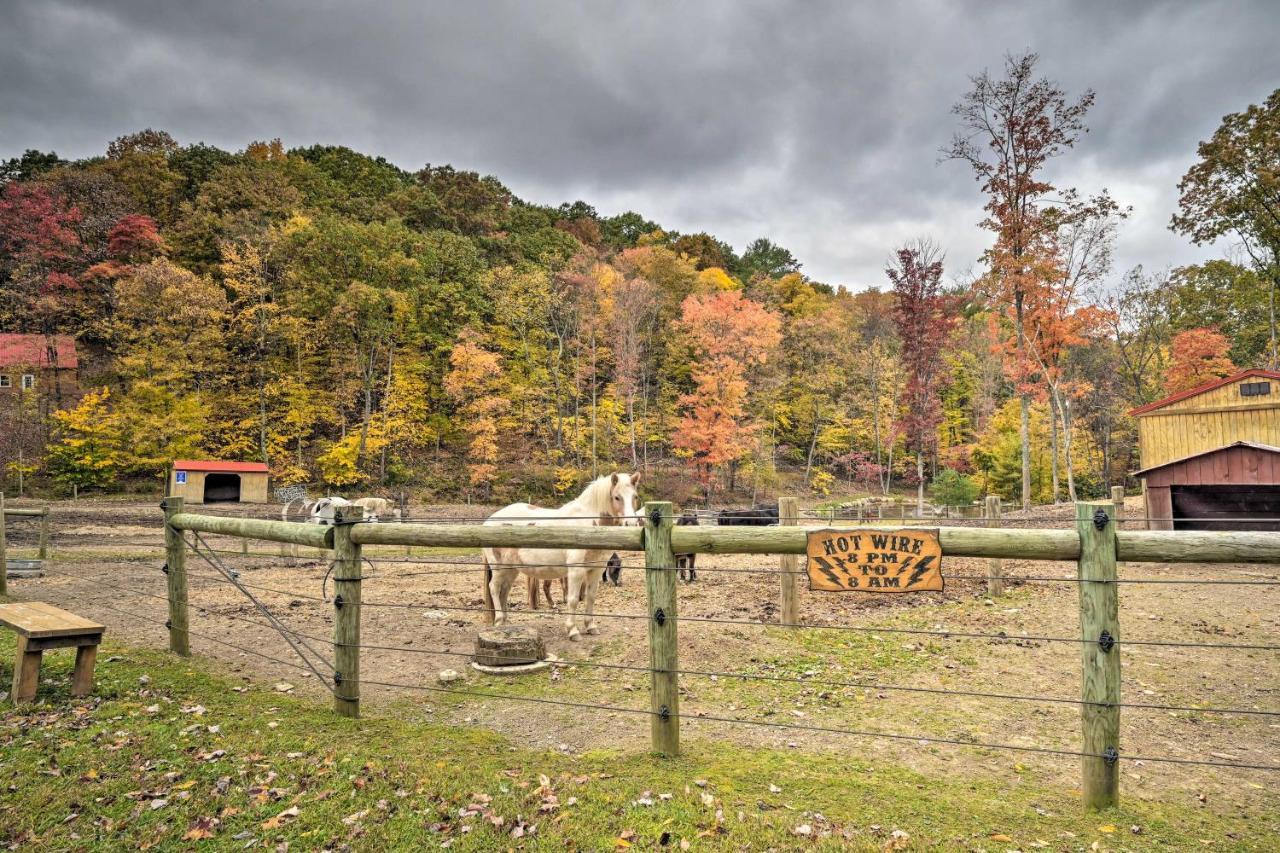 Rustic Clint Eastwood Ranch Apt By Raystown Lake Huntingdon Kültér fotó